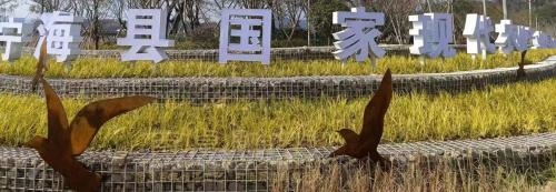 园林雕塑（宁海县）